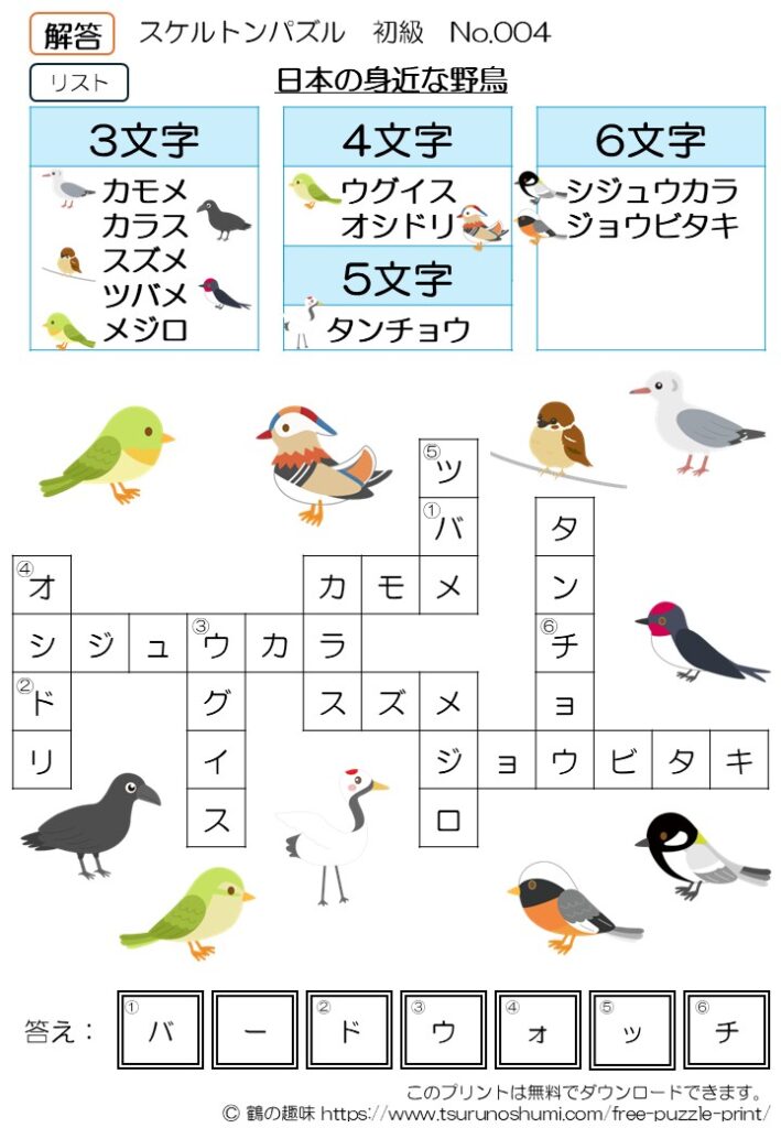 スケルトンパズル 初級 No.004 解答 無料プリント