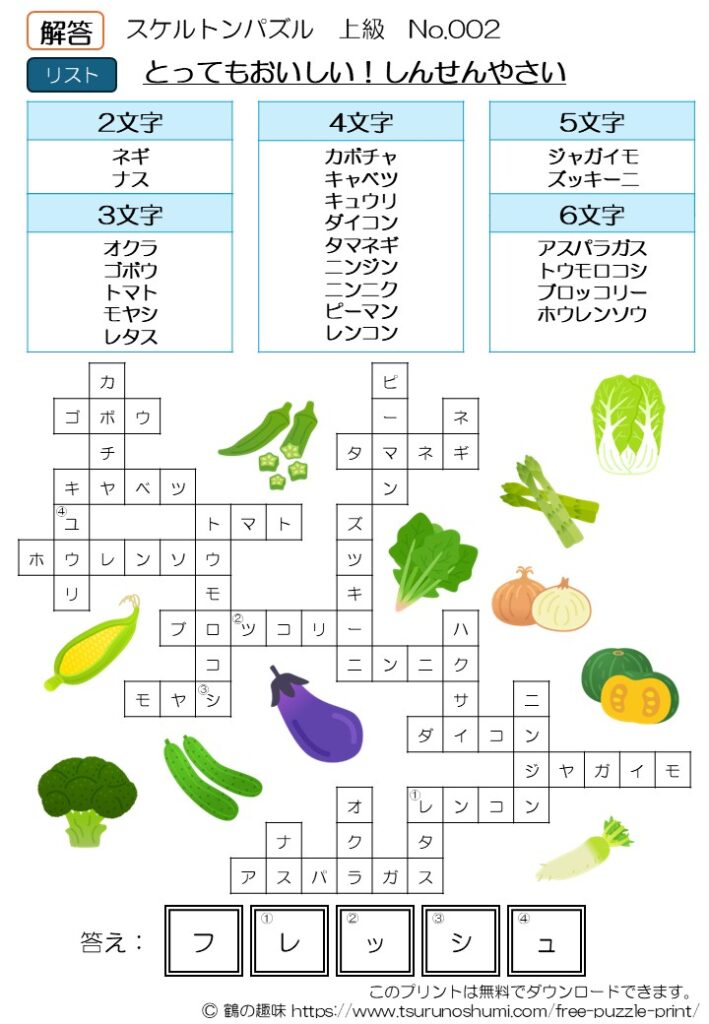 スケルトンパズル 上級 No.002 解答 無料プリント
