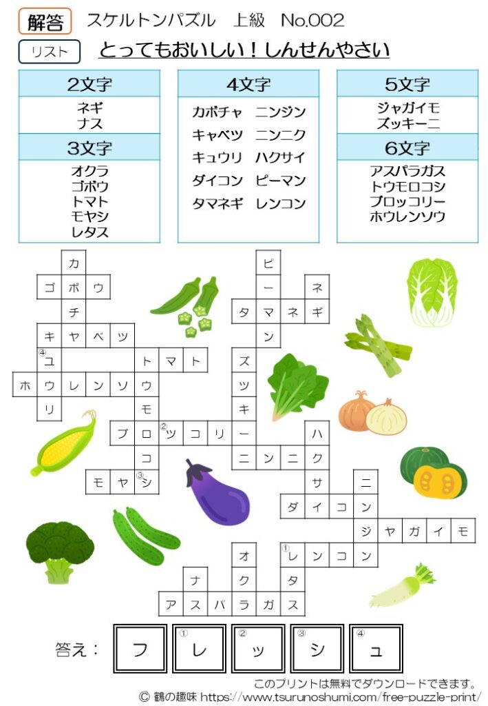 スケルトンパズル 上級 No.002 解答 無料プリント